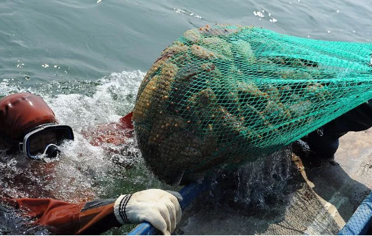 202104301328528806.png 202104301328528806.png